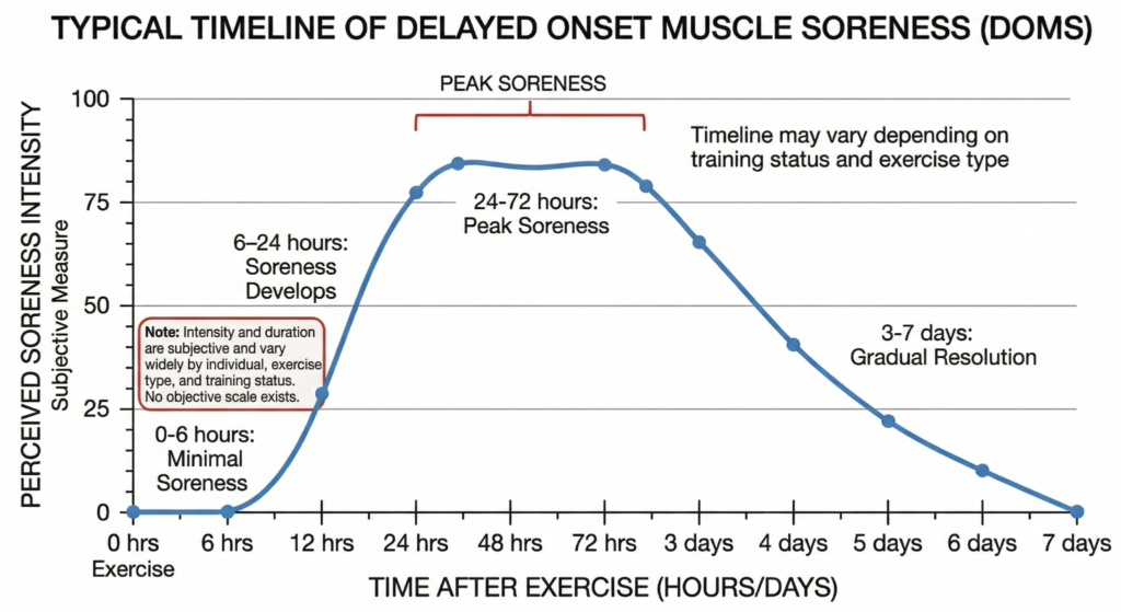 Delayed onset muscle soreness timeline showing soreness developing after 12 to 24 hours, peaking between 24 and 72 hours, and resolving over 3 to 7 days